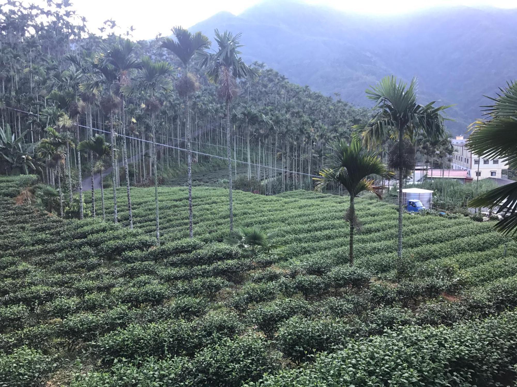 Apartmán De Ren Tea Gardens Meishan Exteriér fotografie