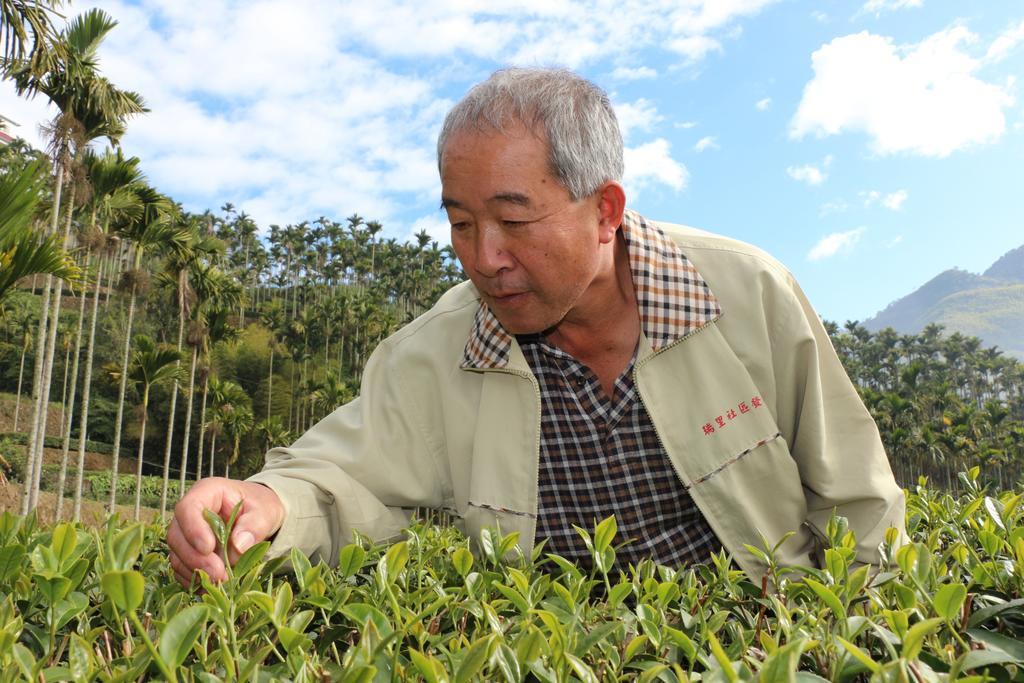 Apartmán De Ren Tea Gardens Meishan Exteriér fotografie