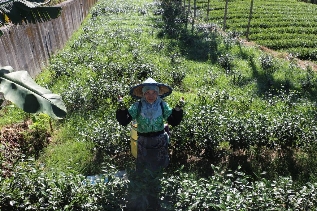 Apartmán De Ren Tea Gardens Meishan Exteriér fotografie